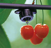 ѹ��������ͷ