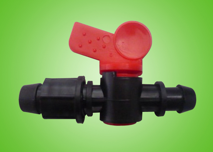 �� 16��ĸ��ͨ��