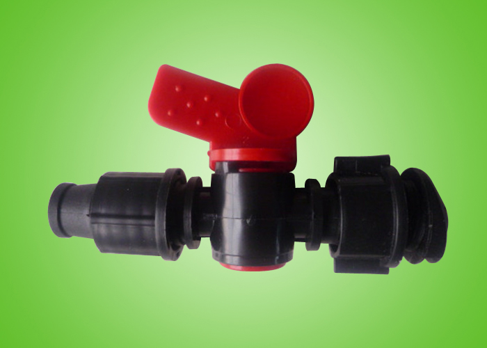 ��16����ƽͷ��ͨ