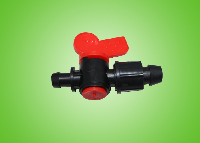 16��ĸ��ͨ��