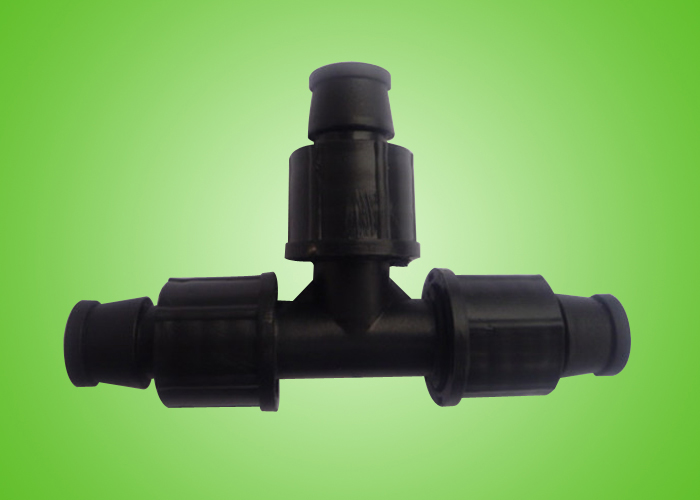 ��16��ĸ��ͨ