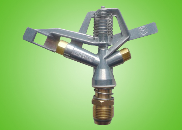 п���Ͻ�ҡ��ʽ��ͷ6��