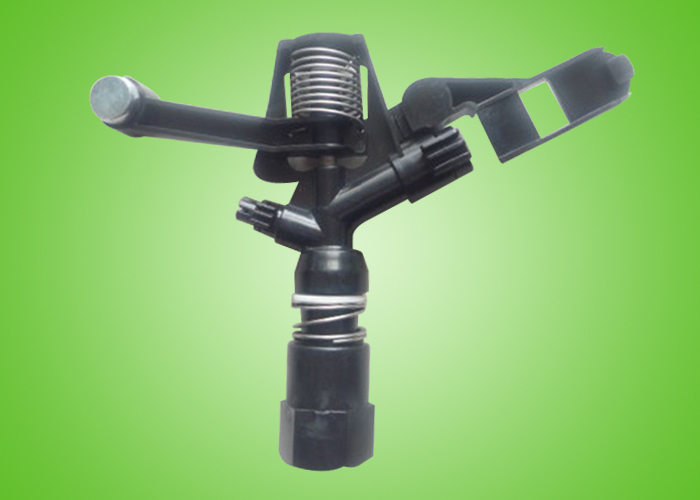 ����ҡ����ͷ