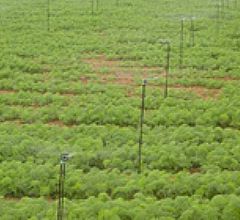 ��ҩ��΢��