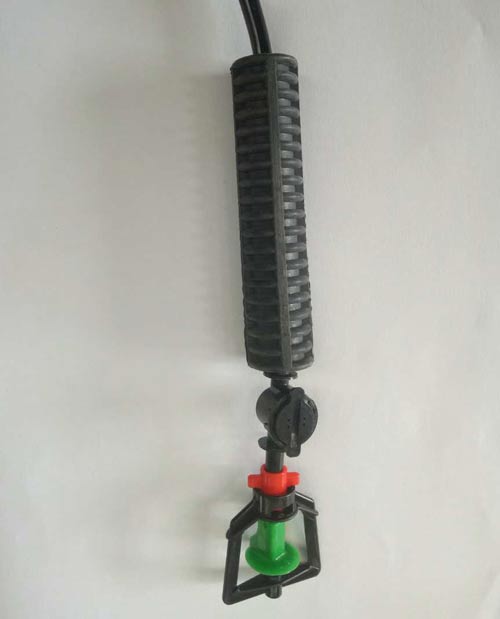 ����΢��